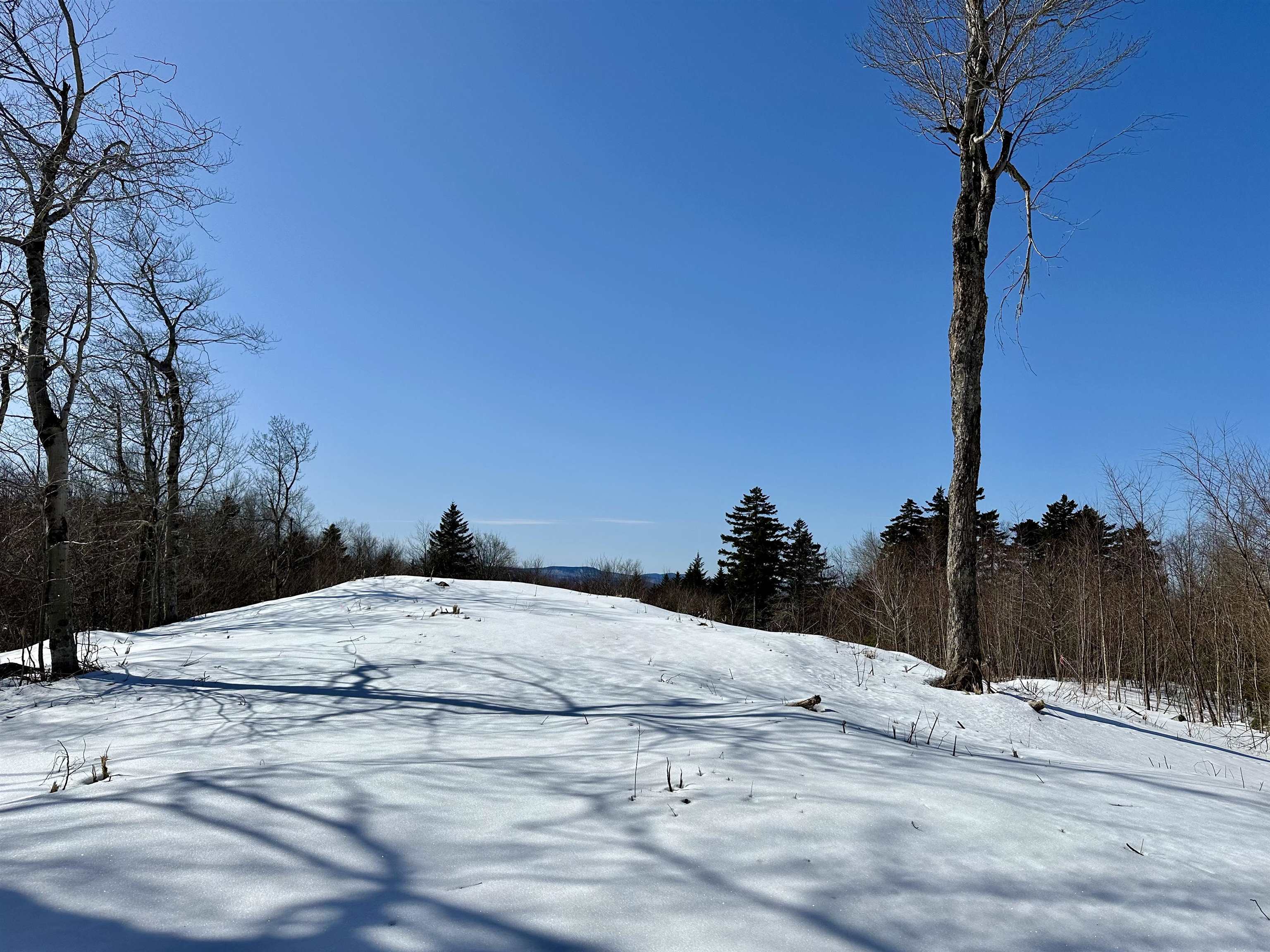 Lot 49 Andover Ridge Road, Unit 49 Andover, VT 05143 - Photo 9 of 13 Gallery Image 9