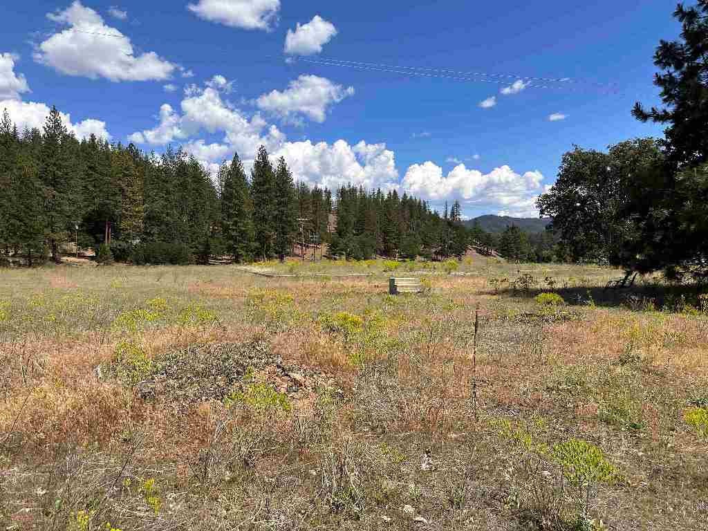 9317 Scott River Road Fort Jones, CA 96032 - Photo 38 of 47 Gallery Image 38