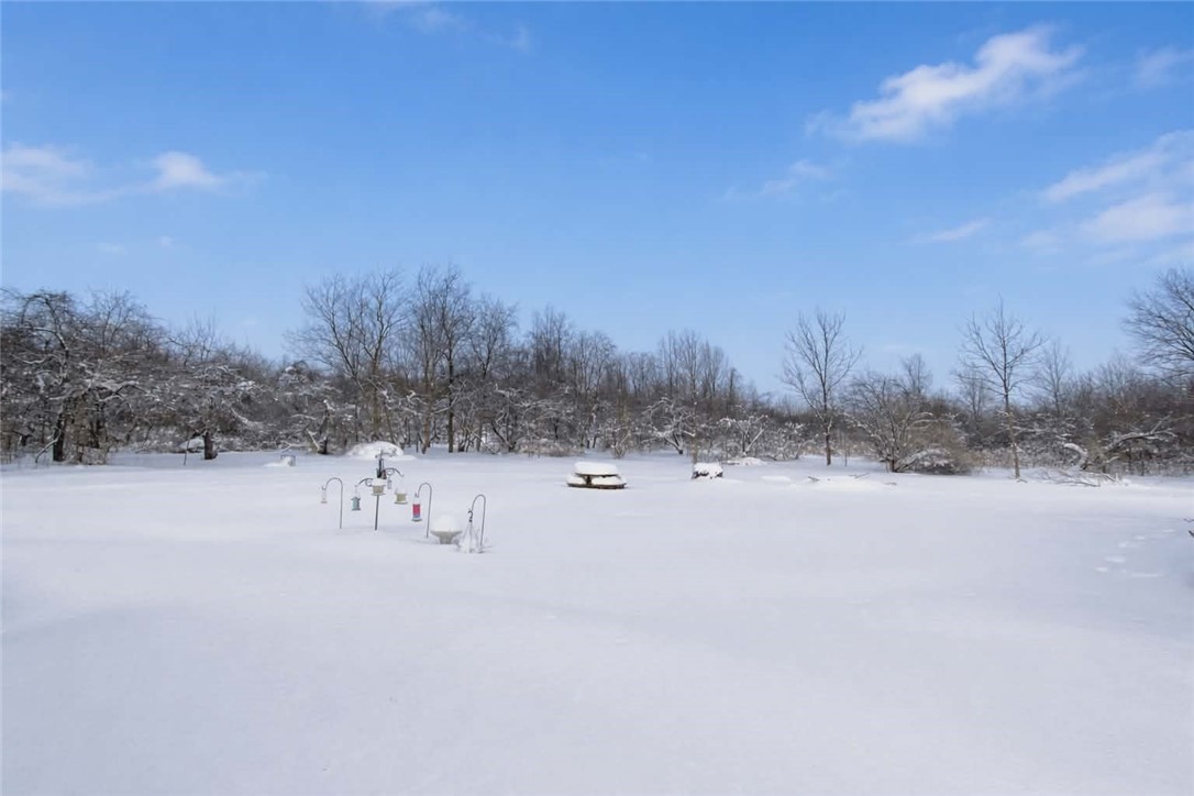 13495 Red Creek Road Red Creek, NY 13143 - Photo 18 of 22