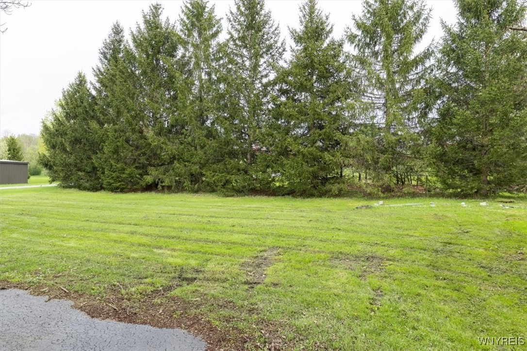 9103 Gowanda State Road Eden, NY 14057 - Photo 20 of 20