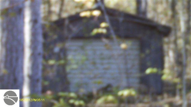 Healey Lake Road Thompsonville, MI 49683 - Photo 14 of 14 1735748-17.JPG