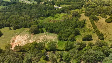 a view of a yard