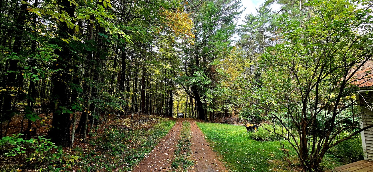 1236 Harper Road Harpersfield, NY 13786 - Photo 47 of 50