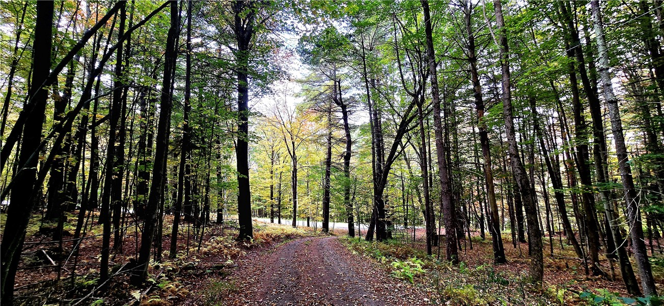 1236 Harper Road Harpersfield, NY 13786 - Photo 49 of 50