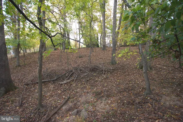 $1,095,000 | 9921 Woodrow Street, Vienna, VA 22181