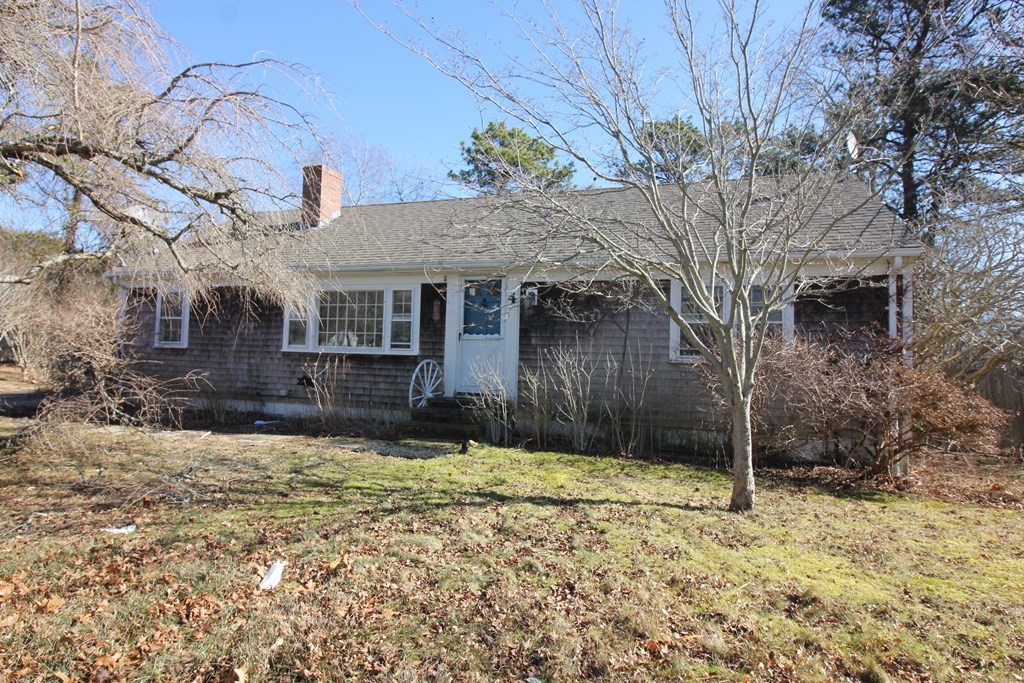 a house that has a tree in front of it