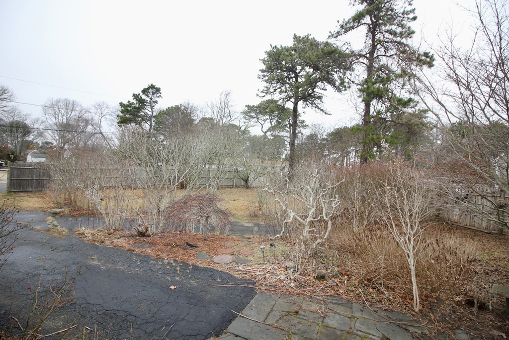 4 Thach Lane Barnstable, MA 02601 - Photo 18 of 18 a view of a yard with trees in the background