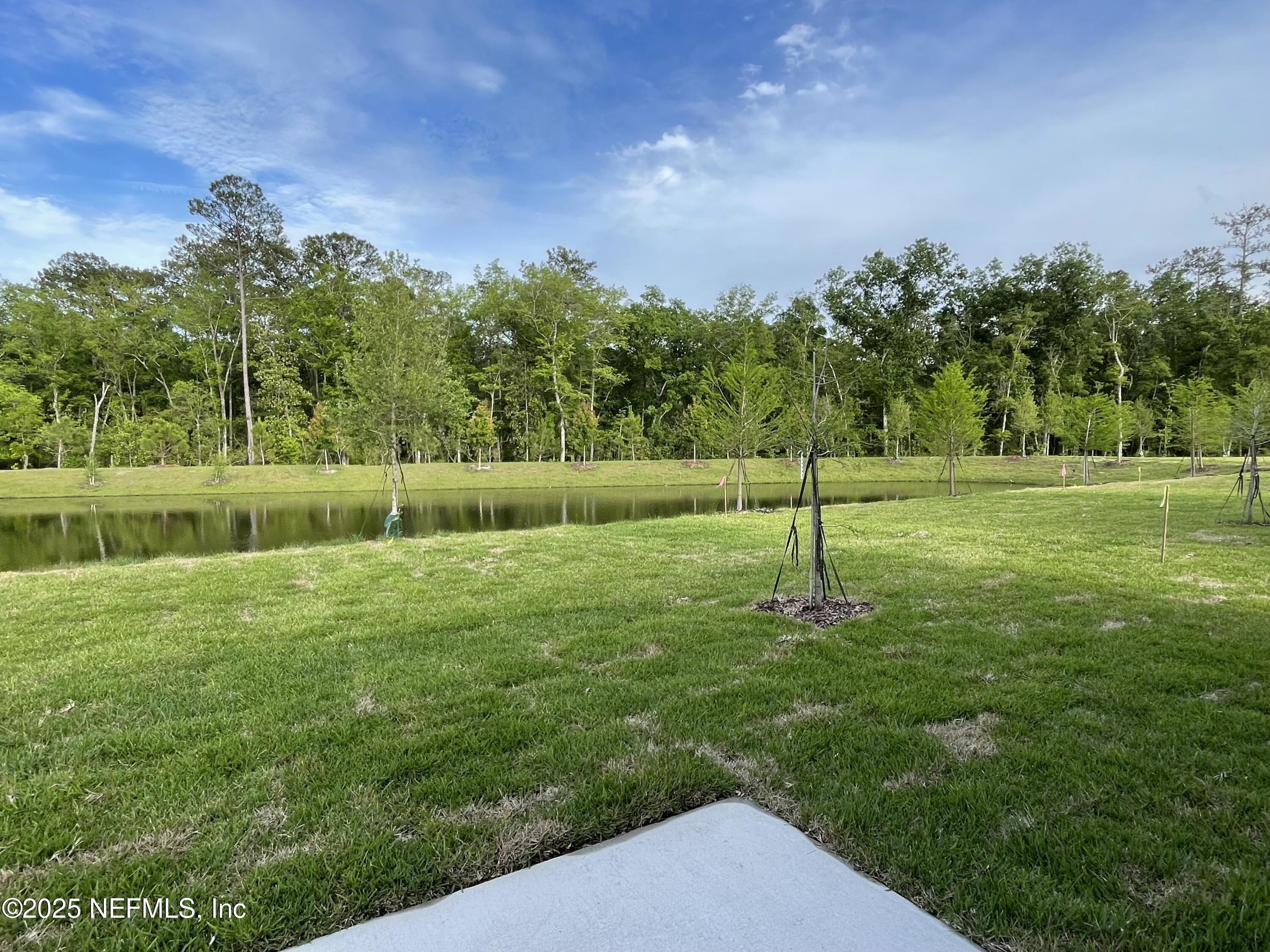 310 Rambling Brk Trail St. Johns, FL 32259 - Photo 21 of 22 Backyard1