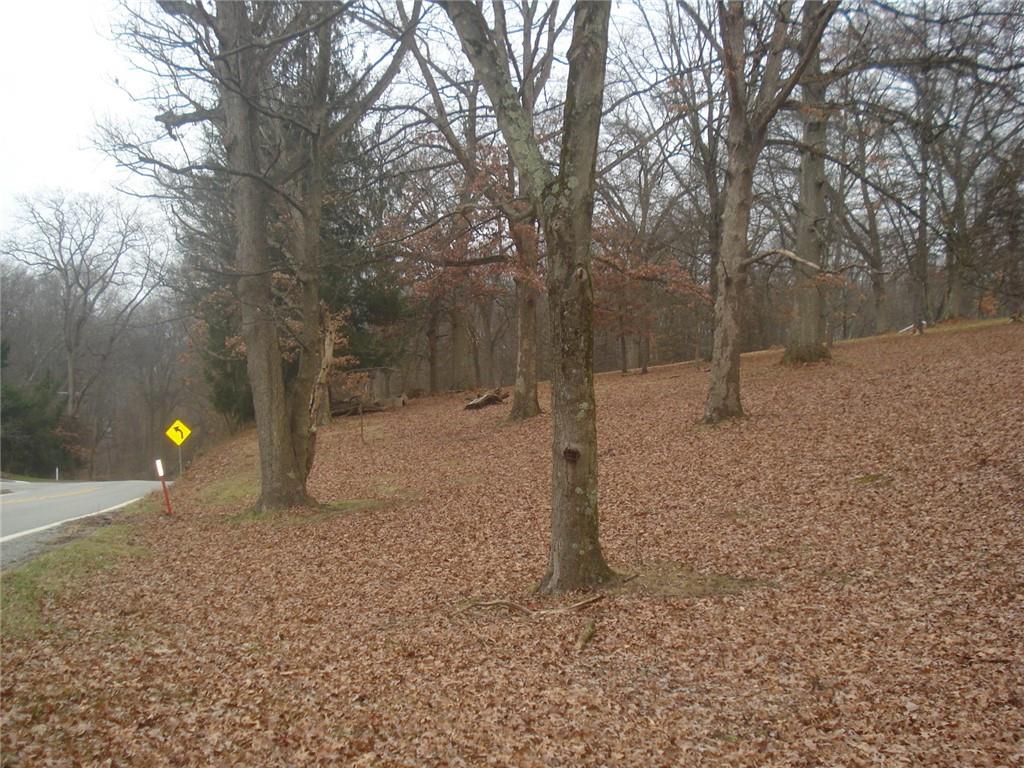 0 Mcaleer Sewickley, PA 15143 - Photo 13 of 13 a backyard of a house with lots of green space