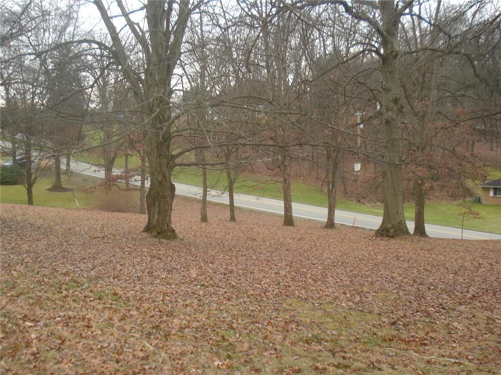 0 Mcaleer Sewickley, PA 15143 - Photo 9 of 13 a view of road and trees