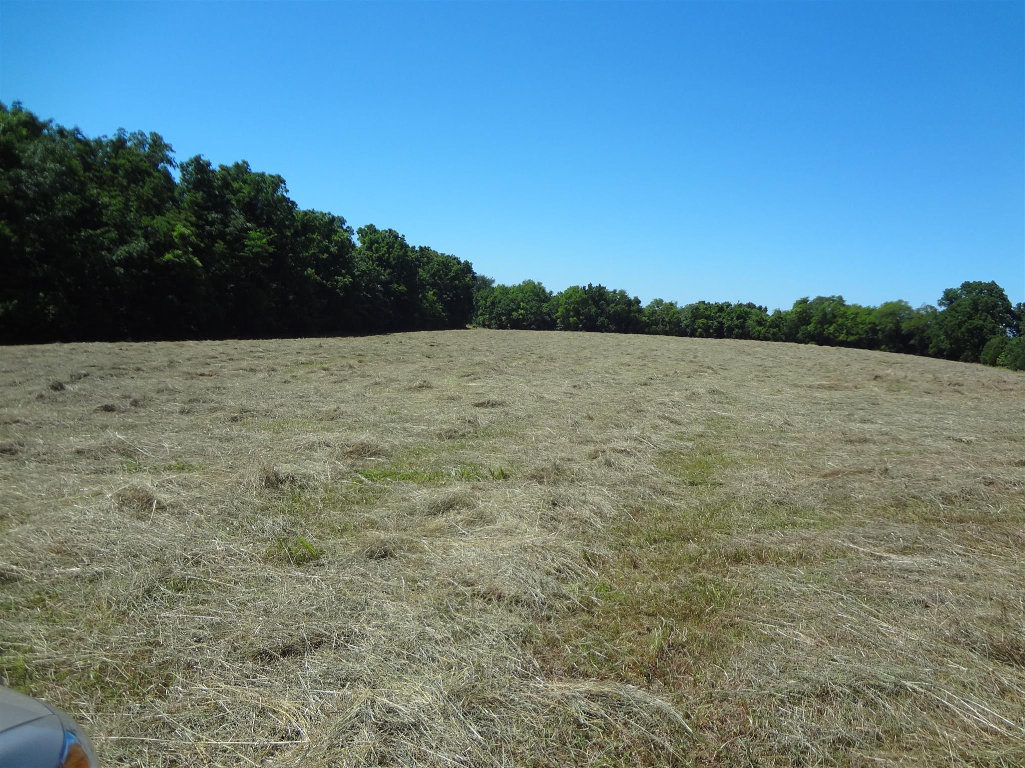 2359 Coleman Road Cornersville, TN 37047 - Photo 12 of 13 Gallery Image 12