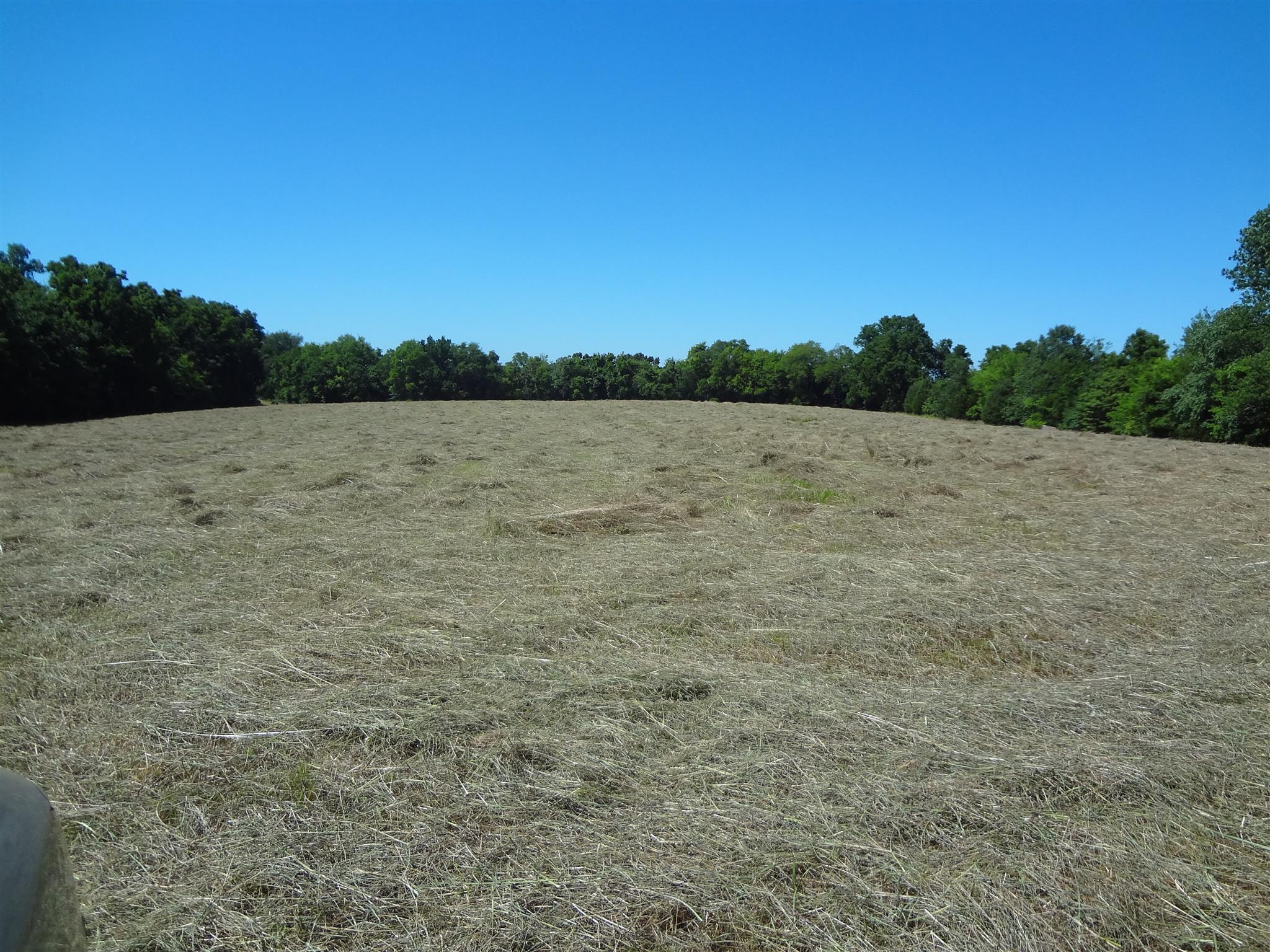2359 Coleman Road Cornersville, TN 37047 - Photo 13 of 13 Gallery Image 13