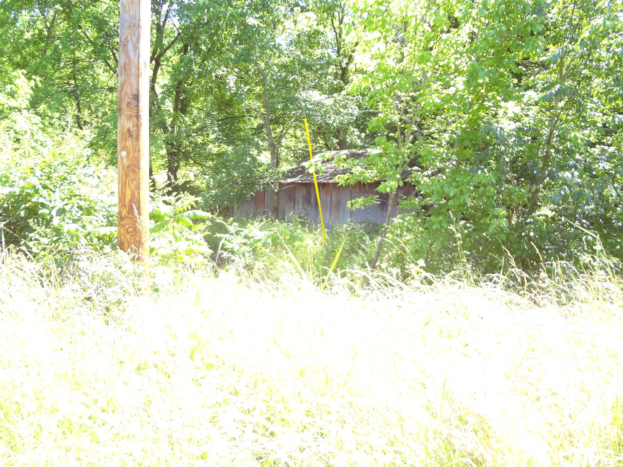 2359 Coleman Road Cornersville, TN 37047 - Photo 4 of 13 Gallery Image 4