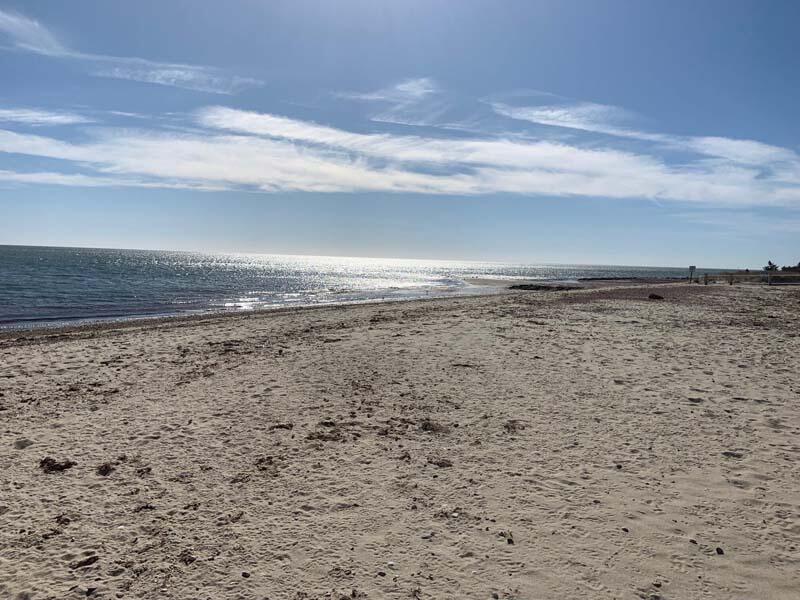 21 Dovetail Lane Cotuit, MA 02635 - Photo 23 of 30 a view of a refrigerator in a yard