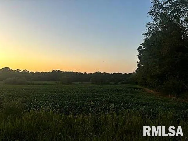 a view of a back yard