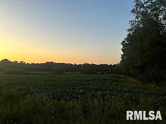 0 Campbell's Corner Road Macedonia, IL 62860 - Photo 2 of 12
