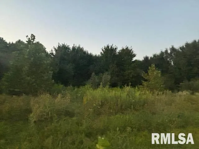 a view of a bunch of trees in a field