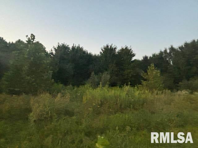 0 Campbell's Corner Road Macedonia, IL 62860 - Photo 3 of 12