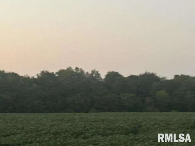 a view of a field of grass and trees