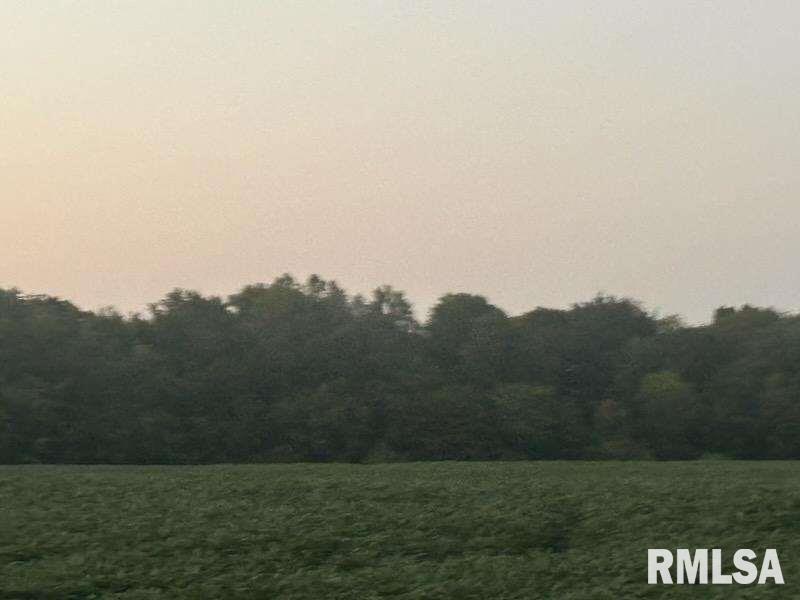 0 Campbell's Corner Road Macedonia, IL 62860 - Photo 4 of 12