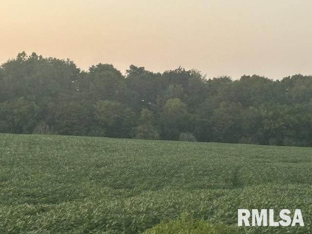 0 Campbell's Corner Road Macedonia, IL 62860 - Photo 6 of 12