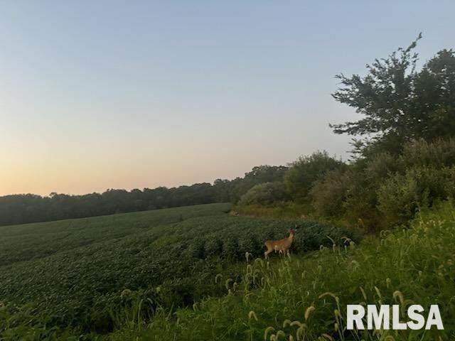 0 Campbell's Corner Road Macedonia, IL 62860 - Photo 7 of 12