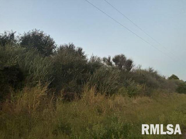 0 Campbell's Corner Road Macedonia, IL 62860 - Photo 8 of 12