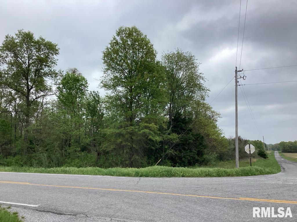 0 Campbell's Corner Road Macedonia, IL 62860 - Photo 10 of 12