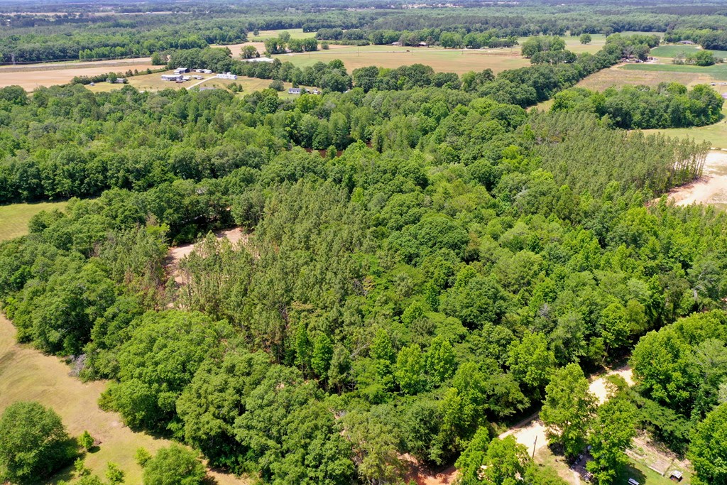 0 South Watford Road Slocomb, AL 36375 - Photo 10 of 14