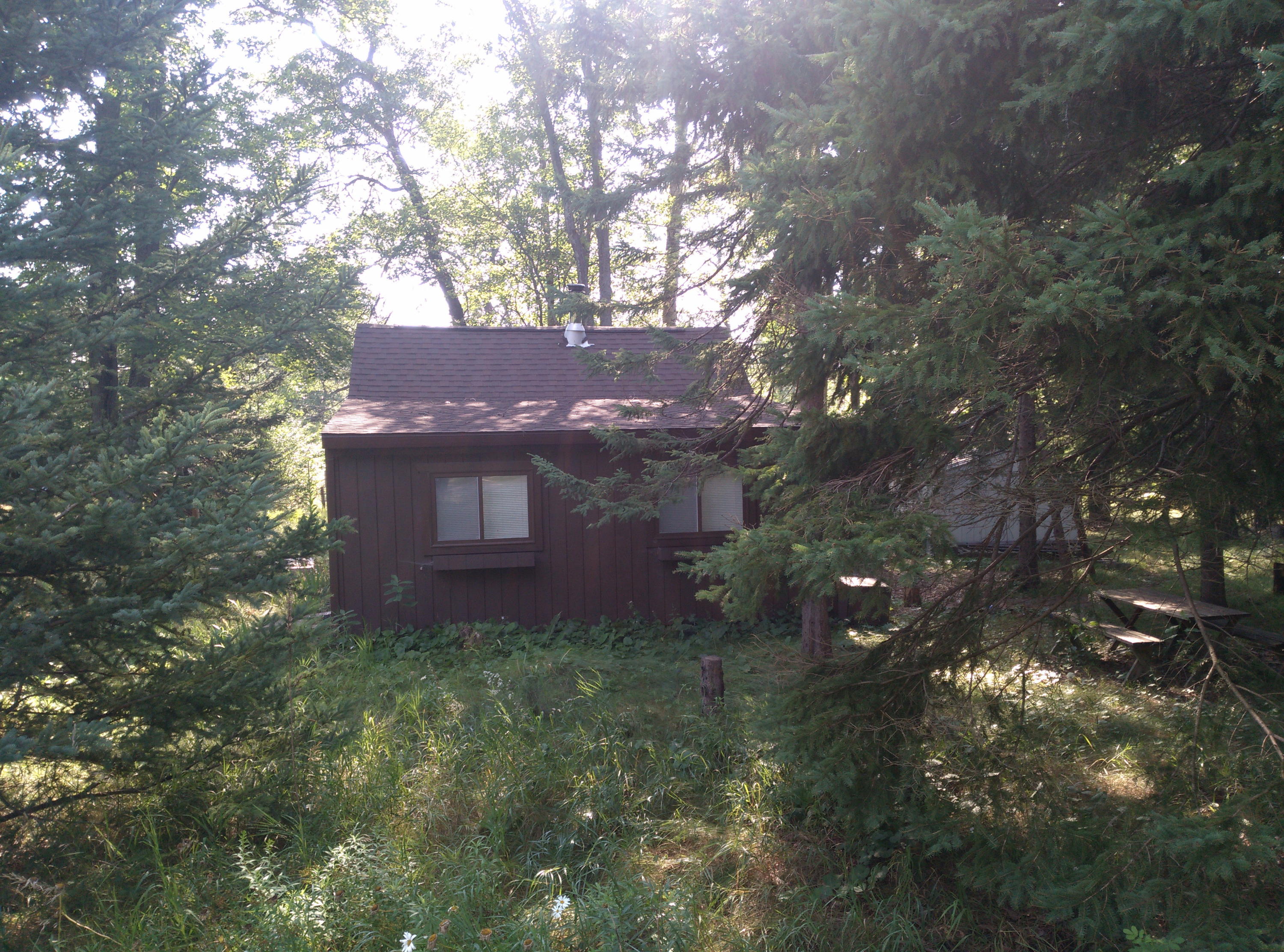 3825 Chase Bridge Road Grayling, MI 49738 - Photo 7 of 21 Gallery Image 7