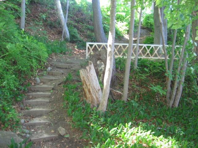 2869 Lakeshore Road Applegate, MI 48401 - Photo 28 of 37 31248976-27.JPG