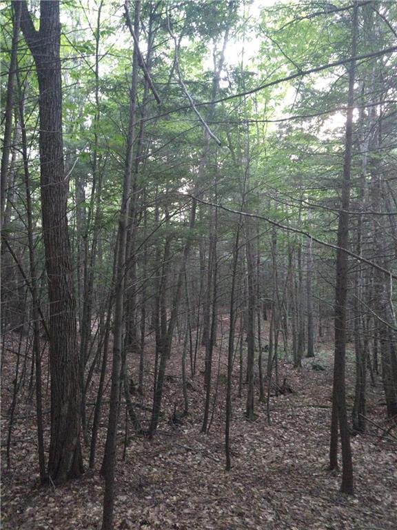 53 Ferrin Road Litchfield, ME 04350 - Photo 17 of 35 Photo