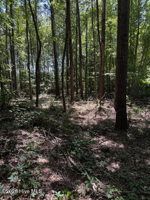 Lot 1 Dan Road Robbins, NC 27325 - Photo 7 of 20 6