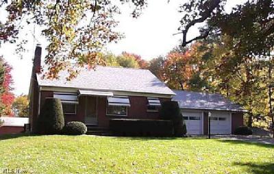 7762 Peck Road Ravenna, OH 44266 - Photo 1 of 1 Gallery Image 1