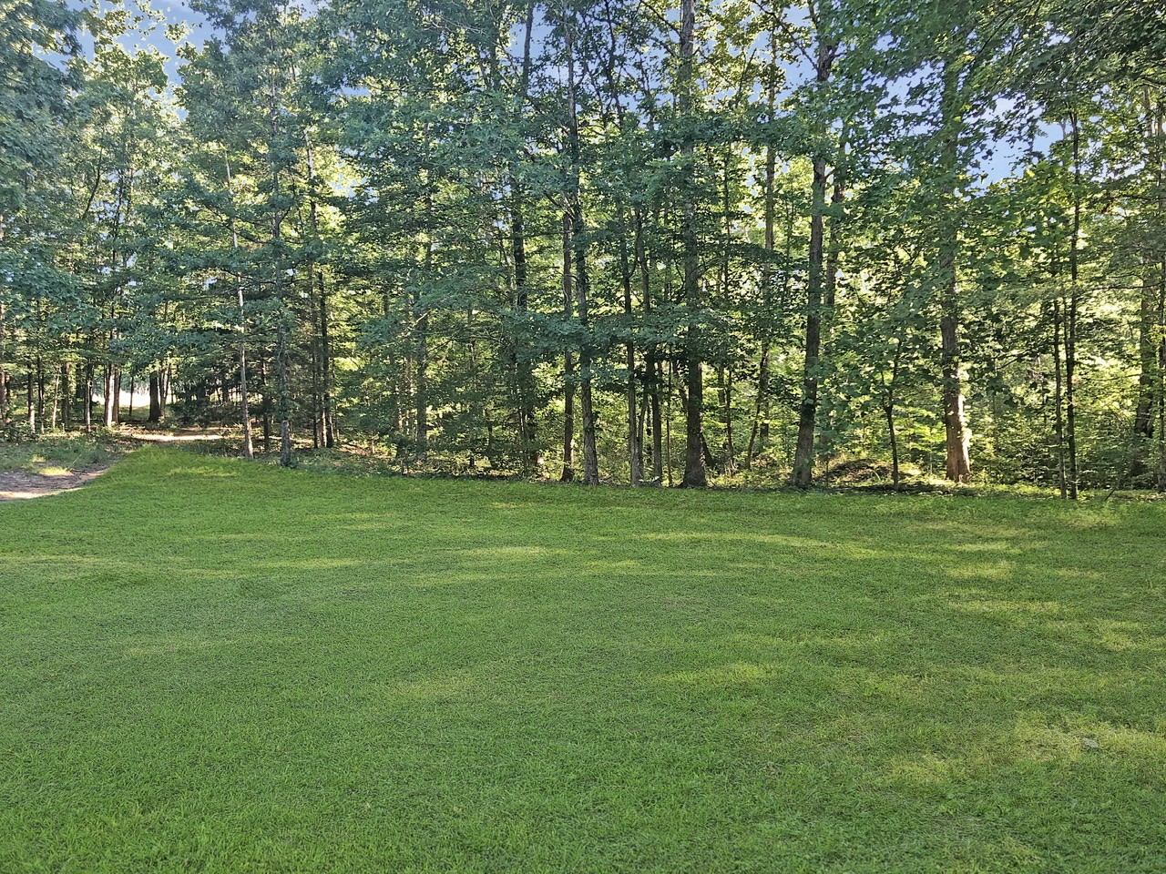 218 Watson Road Bumpus Mills, TN 37028 - Photo 21 of 23 a garden view with a trees