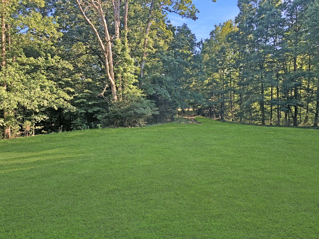 218 Watson Road Bumpus Mills, TN 37028 - Photo 22 of 23 a view of a grassy field with trees
