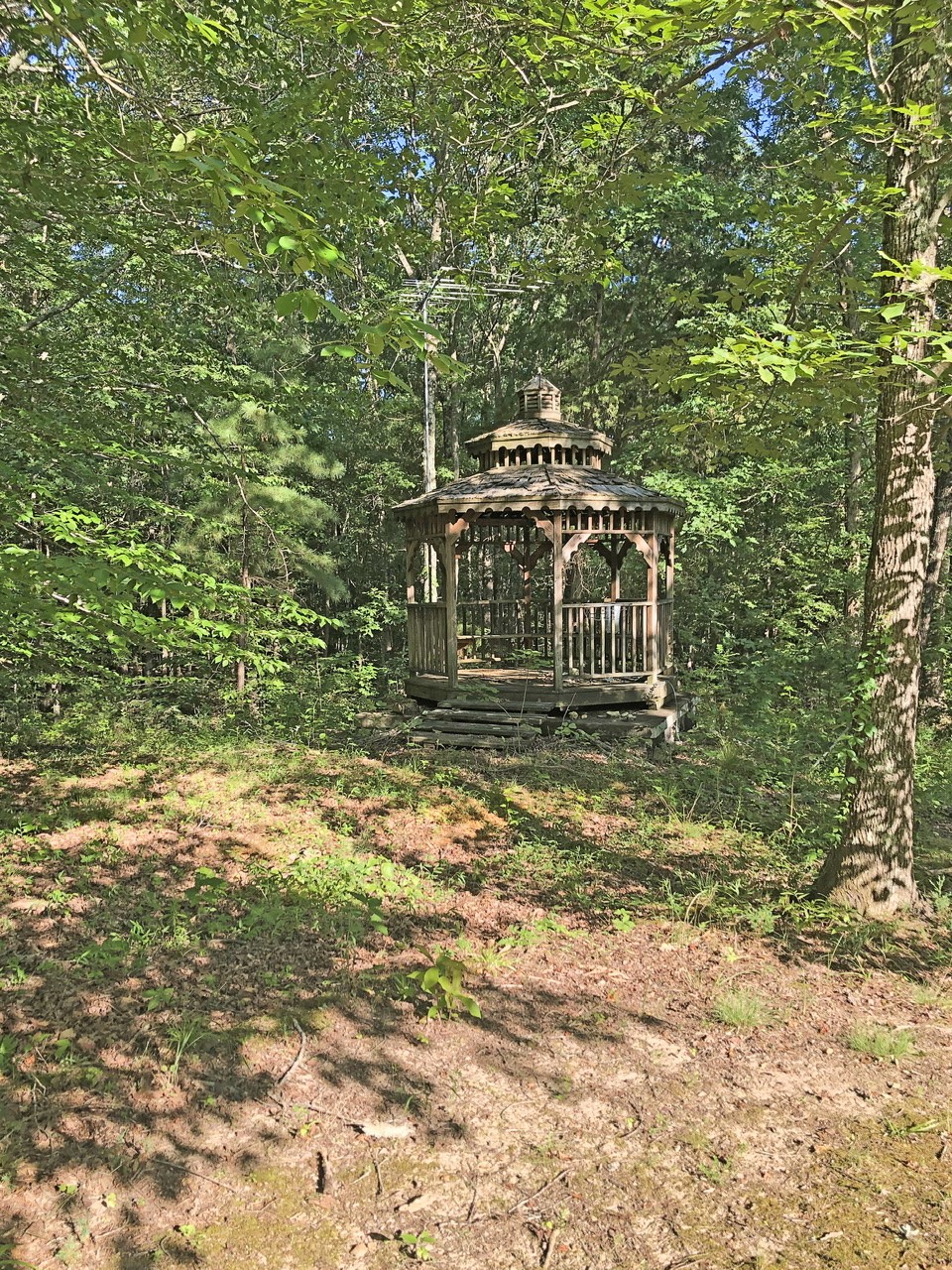 218 Watson Road Bumpus Mills, TN 37028 - Photo 6 of 23 a view of fountain in the backyard