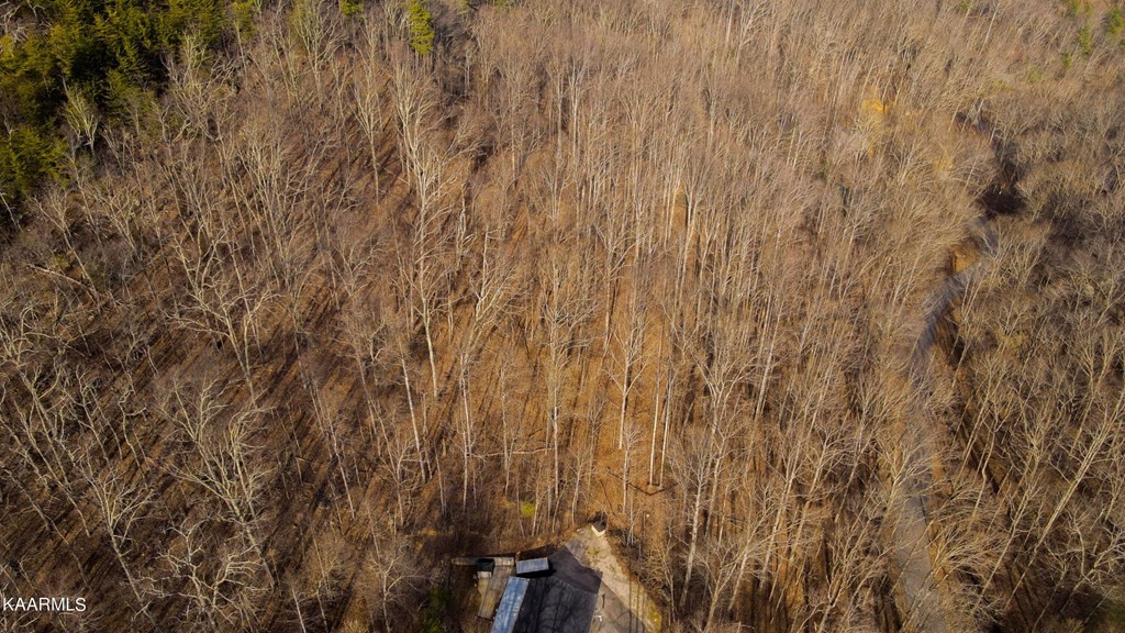 18 Bluff Mountain Road Sevierville, TN 37876 - Photo 5 of 9 Gallery Image 5