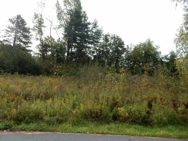 $58,500 | 52 Cherry Lane, Newport, VT 05855