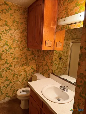 a bathroom with a sink a toilet and shower curtain