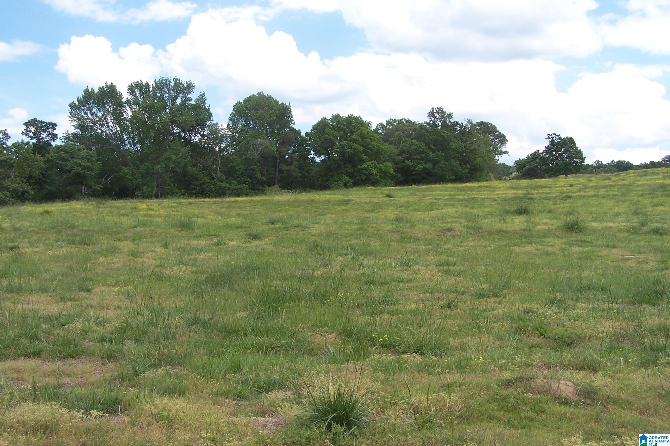 Burton Loop Road Altoona, AL 35952 - Photo 2 of 29 Gallery Image 2