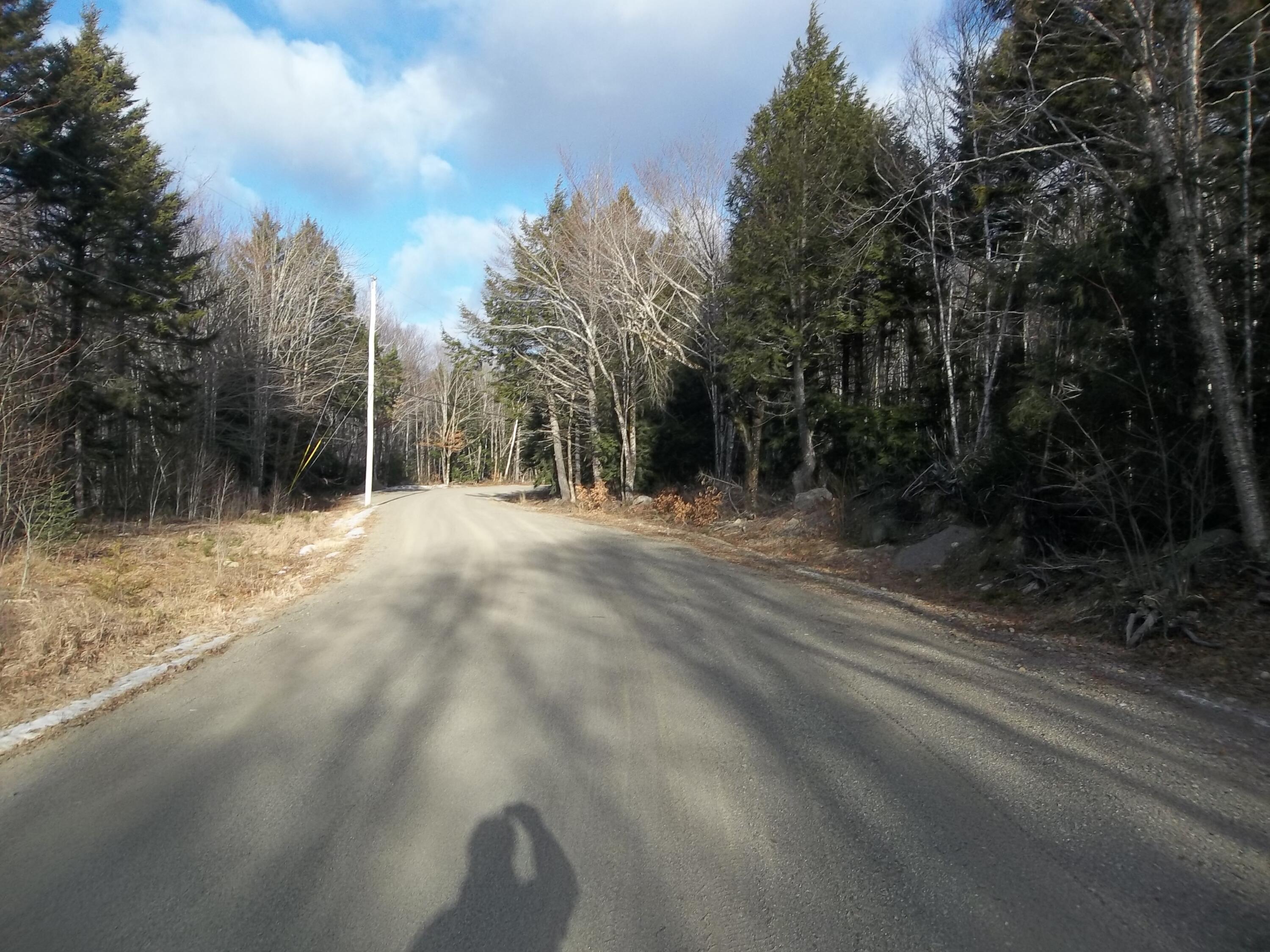 M2-l42-1 Camp Road Cooper, ME 04657 - Photo 3 of 3 100_1785