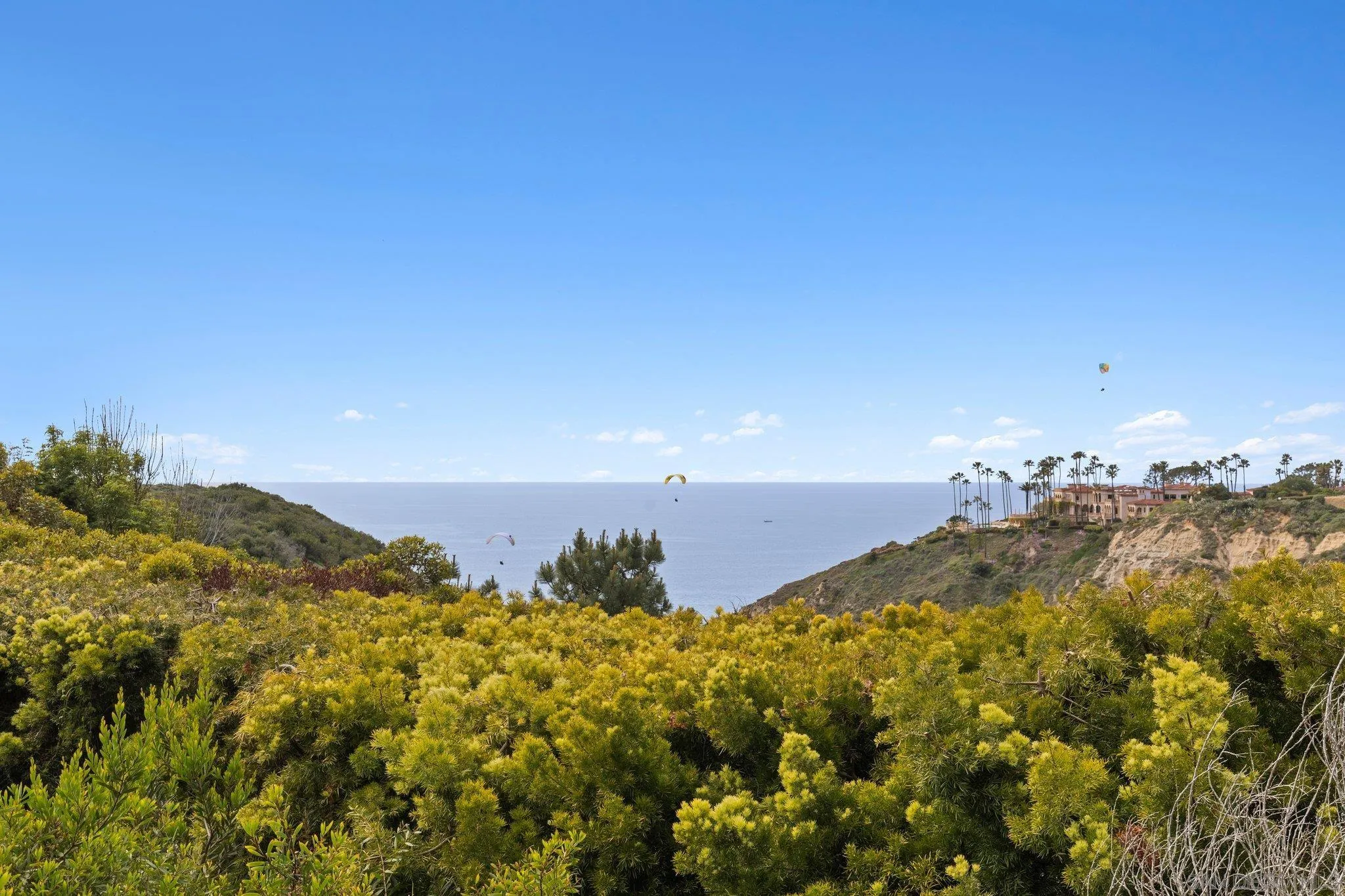 9450 La Jolla Farms Road La Jolla, CA 92037 - Photo 52 of 64