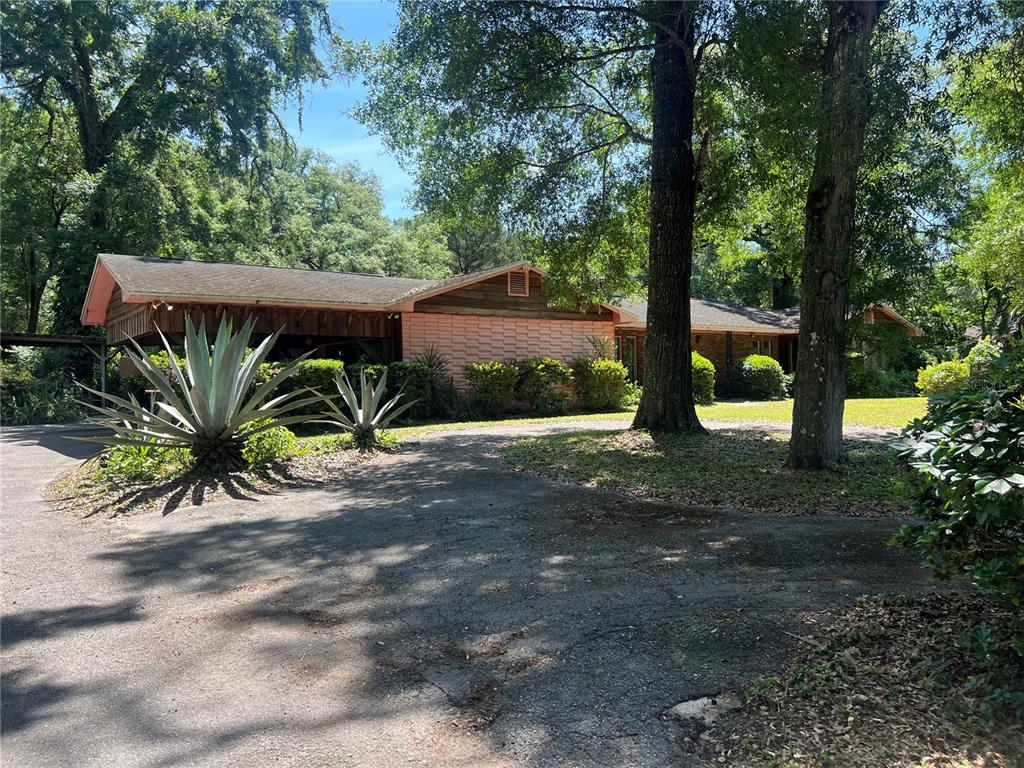 2667 Wilmhurst Road DeLand, FL 32720 - Photo 1 of 1 a couple of plants and trees in a backyard