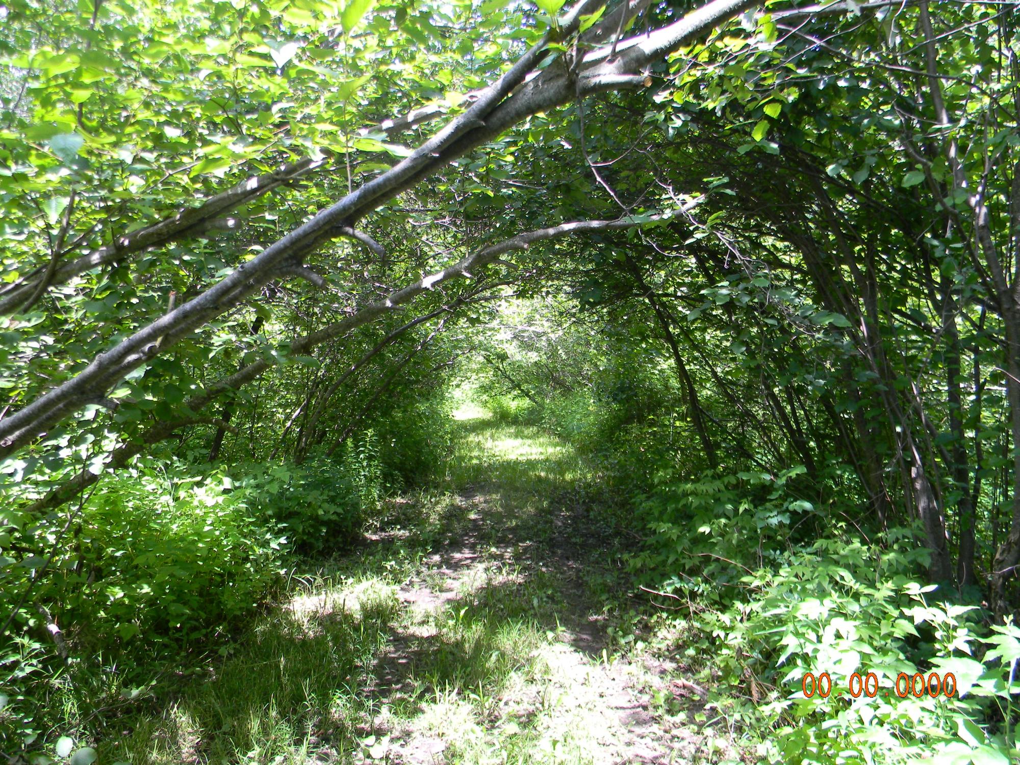 On Burr Oak Road Kennan, WI 54537 - Photo 7 of 28 Gallery Image 7
