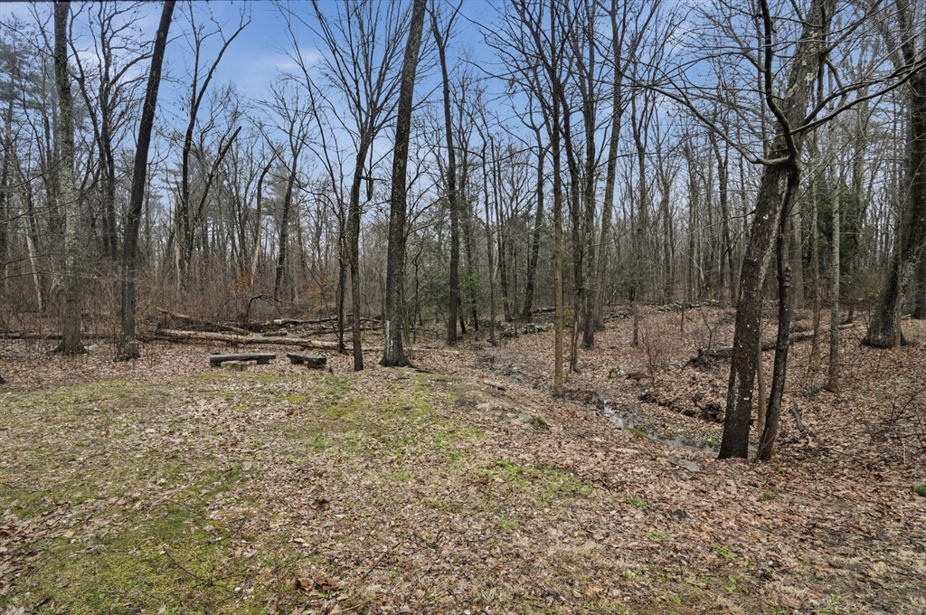 17 Conestoga Trail Brookfield, MA 01506 - Photo 20 of 20 a view of outdoor space with trees