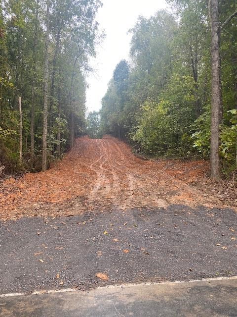 968 County Road Delano, TN 37325 - Photo 3 of 9