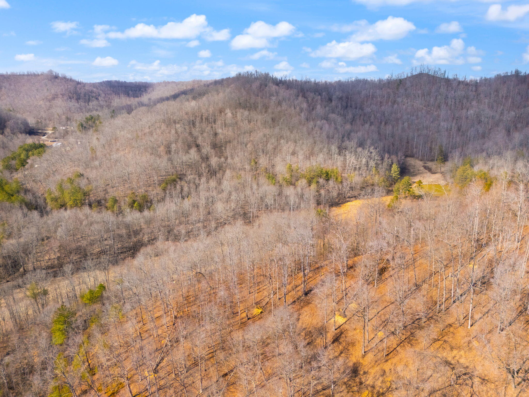 0 Bales Creek Road Manchester, KY 40962 - Photo 10 of 36 6-web-or-mls-DJI_20250301150351_0159_D