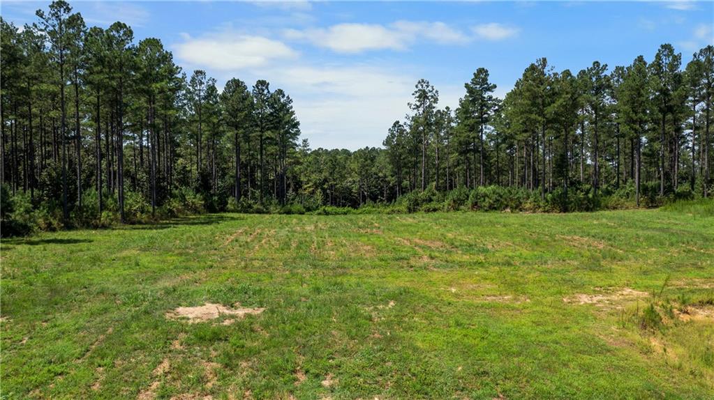 3390 Pleasant Valley Road Southeast Rome, GA 30161 - Photo 6 of 27 Gallery Image 6
