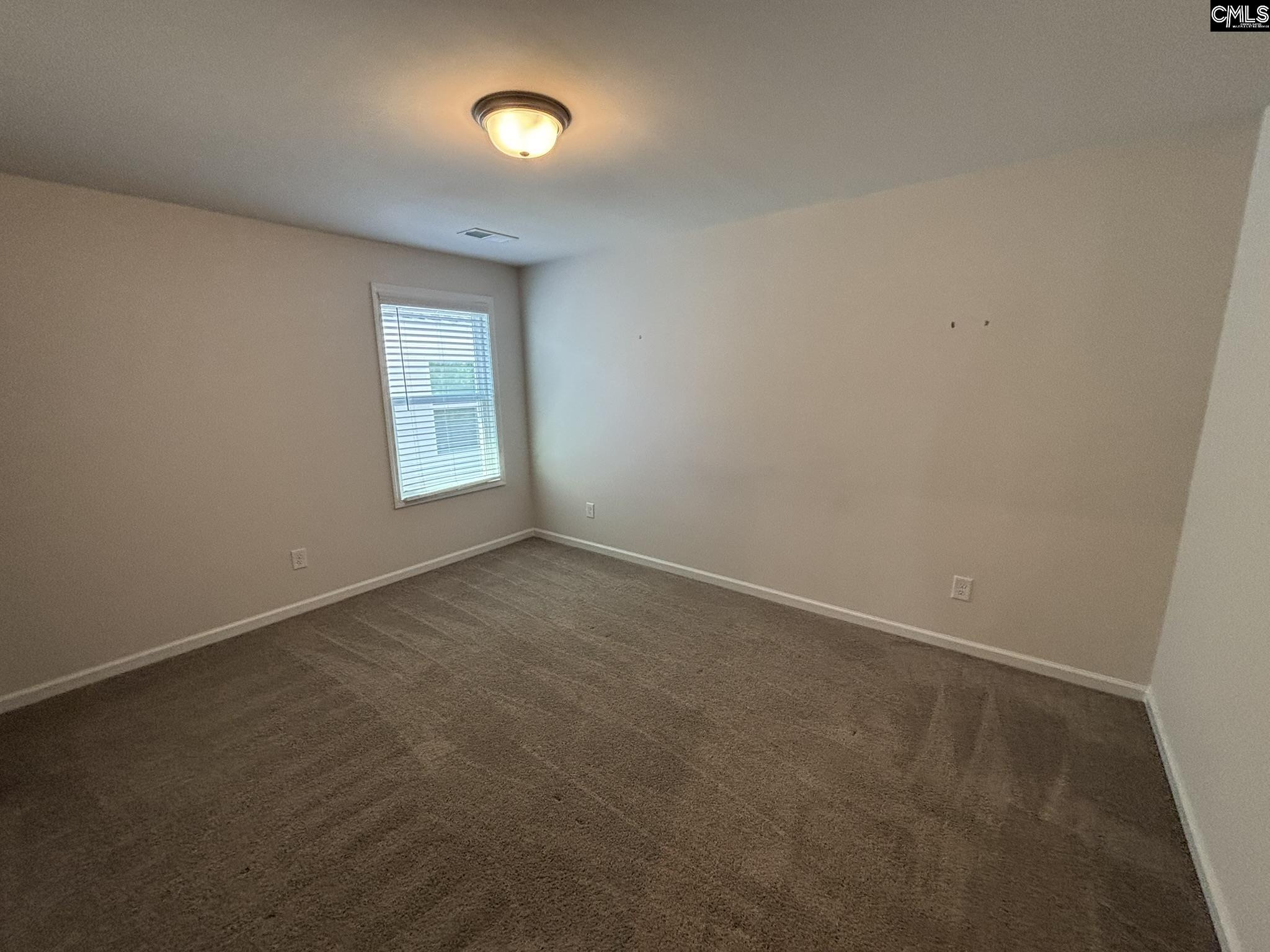 424 Lady Liberty Way Lexington, SC 29073 - Photo 18 of 21